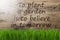 Sunny Wooden Background, Gras, Quote Plant Garden Believe Tomorrow