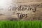 Sunny Wooden Background, Gras, Text Gardening Tips