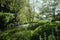 Sunny woodland scene with couple painting on an easel beside a tree by a river