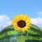 Sunny yellow lovely sunflower grows against the huge watermelon like the Earth. Blue sky. Harvest. Agriculture Land