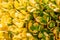 Sunny yellow succulent Crassula Ovata plant - close up background