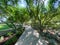 Sunnylands center and garden in Rancho Mirage.