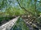 Sunnylands center and garden in Rancho Mirage.