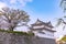 Sunpu Castle Tatsumi-Yagura during Cherry blossoms