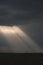 Sunrays falling on a acacia tree at Masai Mara