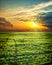 Sunrays over green field