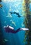 Sunrays Penetrate the Kelp Forest of Monterey Bay, California