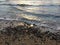 Sunrise above Pacific Ocean - View from Kapaa Beach Park on Kauai Island, Hawaii.