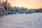 Sunrise above the tops spruce trees