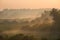 Sunrise above tropical palm jungle with sun rays ang thick morning