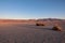 Sunrise in Alvord desert. Small bushes cast long shadows