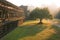 Sunrise in Angkor Wat temple complex, tree in beautiful morning light, Siem Reap, Cambodia