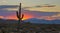Sunrise In The Arizona Desert With Saguaro Cactus