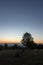 Sunrise in autumn over the yard with trees