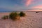 Sunrise on the Baltic Sea coast, sand dunes, beach, Kolobrzeg, Poland.