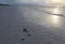 Sunrise on the beach at Sanibel Island Florida