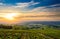 Sunrise at Beaujolais vineyards, Beaujolais, France