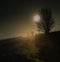 Sunrise behind a lone tree in a misty Northumberland landscape