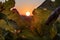 Sunrise behind the vine leaves of one of the SAINT EMILION vineyards