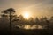 Sunrise in the bog landscape. Misty marsh, lakes nature environment background.