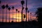 Sunrise at Borrego Springs with Palm Trees