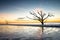 Sunrise at Botany Bay Beach