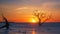 Sunrise at Botany Bay Beach