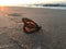 Sunrise at Brighton Beach and Coney Island during Fall in Brooklyn in New York, NY.