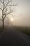 Sunrise, Cades Cove, Great Smoky Mtns NP