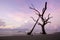 Sunrise on a calm and empty beach with driftwood and reflections