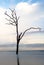 Sunrise on a calm and empty beach with driftwood and reflections