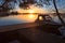 Sunrise on calm lake, floating pier with moored motorboat under pine branches, nobody