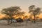 Sunrise at the camping sites in the Okaukeujo Rest Camp