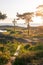 Sunrise of a classic midsommer pole with small tents with campers at the coast line of Roslagen