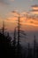 Sunrise, Clingmans Dome, Great Smoky Mountains