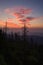 Sunrise, Clingmans Dome, Great Smoky Mountains