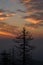 Sunrise, Clingmans Dome, Great Smoky Mountains