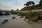 Sunrise at coast of Carmel, CA, beach shot with lone pine tree, long exposure to smooth out the water