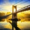 Sunrise on College footbridge in Lyon