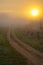 sunrise, country road in the mist