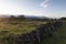 Sunrise countryside landscape at Ilha do Pico`s Island Planalto da Achado with typical Azores Heather Erica azorica and lava