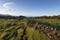 Sunrise countryside landscape at Ilha do Pico`s Island Planalto da Achado with typical Azores Heather Erica azorica and lava