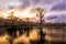 Sunrise with cypress trees in the swamp of the Caddo Lake State Park