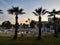 Sunrise in Cyprus. A swimming pool surrounded by sun loungers and parasols surrounded by palm trees against a yellow - blue sky