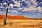 Sunrise in DeadVlei - Namibia