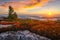 Sunrise, Dolly Sods, West Virginia