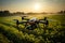 Sunrise drone flight analyzing agricultural fields for precision farming assessment