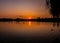 Sunrise with ducks, swan and geese at Furzton Lake, Milton Keynes