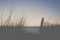 Sunrise east coast beach grass fence silhouette