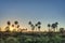 Sunrise on El Palmar National Park, Argentina